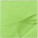 HEKU 100 Light Green Napkins - 3-Layer 33x33cm Highly Absorbent Stylish & Practical 5-Pack for Events & Gastronomy - International Shipping Available - Buy Online on SooperMarket.com
