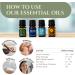 Ecodrop Wellness Oil Blend Collection - 4X 5ml Bottle Set | Natural & Organic Therapeutic Grade Aromatherapy Eucalyptus Lavender Tea Tree Lemon & Ravensara Essential Oil Blends Diffuser Gift Kit Wellness Blends - Buy Online on SooperMarket.com