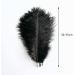 Pioio 20pcs Black Ostrich Feathers Plumes 12-14 inch - Ideal for DIY Halloween & Gatsby Decorations - Buy Online on SooperMarket.com