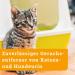 Buy Awiwa Odor Neutralizer & Cat Urine Stain Remover (1L) - Effective Pet Odor Control for Dogs & Cats | International Shipping Available - Buy Online on SooperMarket.com