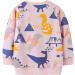 Girls Dinosaur Sweatshirt - Cotton Casual Jumper, Toddler Long Sleeve Pullover | Age 5-6 Years - Buy Online on SooperMarket.com