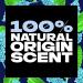 AXE Men's Alpine Lift Body Wash 18 oz - 4 Pack | Plant Based Ingredients, 100% Natural Scent - Buy Online on SooperMarket.com