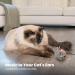 Petstages Squeak Squeak Mouse Plush Catnip Cat Toy - Buy Online on SooperMarket.com
