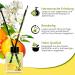 Air Space Fragrance Sticks | Jasmine Orange Flower Room Freshener | Fruity Floral Aromatherapy for Home - Buy Online on SooperMarket.com