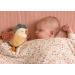 Little Dutch 8715 Gift Set 3-Piece Flowers & Butterflies - Comforter Grasping Toy & Stuffed Toy | International Shipping Available - Buy Online on SooperMarket.com