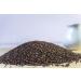 Old India Black Mustard Seeds Whole 750g - Premium Quality - Buy Online on SooperMarket.com