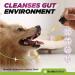 Natural Dewormer for Dogs | 100% Natural | Contains 3 Medicinal Herbs | Supports Intestinal & Gut Health | Gentle & Effective Formula - Buy Online on SooperMarket.com