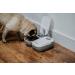 Cat Mate Timed Automatic Feeder Two bowl feeder - Buy Online on SooperMarket.com