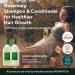 AROMATICA Rosemary Scalp Scaling Shampoo & Conditioner Gift Set - 400ml | Vegan Hair Care with Rosemary Oil for Dry, Itchy Scalp - Buy Online on SooperMarket.com
