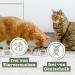 Catz Finefood MEATZ CATTIONS Horse N 15 - 100% Horse Meat Cat Snack Grain-Free Sugar-Free Ideal for Allergies (45g) - International Shipping Available - Buy Online on SooperMarket.com