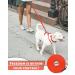 Looxmeer Rubberized Tow Lines for Dogs - 3m to 30m Leashes in Neon Orange | Ideal for Small & Medium Dogs | Durable Practice Lines - Buy Online on SooperMarket.com