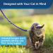 PetSafe Come With Me Kitty Harness & Bungee Leash - Large Royal Blue/Navy | Best Cat Harness for International Shipping - Buy Online on SooperMarket.com