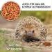 Dried Mealworms 1 Ltr (160g) - Premium Insect Snack for Birds Fish Turtles & Reptiles | Year-Round Bird & Hedgehog Feed - 1 Pack - Buy Online on SooperMarket.com