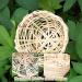 Obelunrp Bird Nest for Wildbird 6pcs 3.9inch Bamboo Woven Nesting Boxes for Wild Birds Hatching Breeding Cave for Parrot Canary or Cockatiel - Buy Online on SooperMarket.com