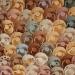 FRIGG Daisy Natural Rubber Baby Pacifier 2-Pack - Rose Gold/Honey Gold | BPA-Free | Made in Denmark | 0-6 Months - Buy Online on SooperMarket.com