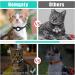 Reflective Airtag Cat Collar with Bell | Waterproof Holder | Apple Airtag Compatible - Black - Buy Online on SooperMarket.com