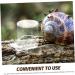 DOITOOL Pet Water Feeder Ant Watering Cup Ant Nest Entrance Feeder Ant Bowl Feeding Tray Automatic - Buy Online on SooperMarket.com