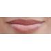 Burt's Bees Pink Blossom Tinted Lip Balm with Shea Butter - 100% Natural & Moisturizing | 1 Tube - Buy Online on SooperMarket.com