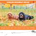 EXPAWLORER Chew Proof Retractable Dog Lead - Dual Extendable Reflective Lead for 2 Dogs, 5M Heavy Duty Double Lead for Small, Medium & Large Dogs - Buy Online on SooperMarket.com