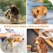 DEWEL Tick Collar for Dogs - Adjustable 63.5cm Waterproof Flea & Tick Protection - Buy Online on SooperMarket.com