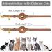 Oopsdoggy Leather Airtag Cat Collar with Bells - Durable Light GPS Collar for Cats & Small Dogs - Apple Airtag Holder - Perfect for Puppies (Light Brown) - Buy Online on SooperMarket.com
