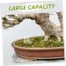 Kisangel 5pcs Pet Water Feeder Ants Feeder Water Feeding Cup for Ants Nest Ants Waterer for Garden Plastic - Buy Online on SooperMarket.com