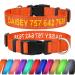 Tagme personalized dog collar for small dog with embroidered reflective nylon dog collar with pet name & telephone number orange s s (1 Pack) orange
