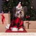 Frienda Plaid Dog Hoodie with Hat - Warm Winter Pet Clothes for Small Medium Puppy (Medium) - Buy Online on SooperMarket.com