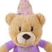 Rosewood Chubblez Bonnie Birthday Bear Plush Dog Toy - Perfect Gift for Dogs - Buy Online on SooperMarket.com