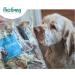 PawGang 100% Natural Rabbit Ears with Fur 500g - Healthy Hypoallergenic Dog Treats - Grain Free and Tasty Chews - EU Sourced - Bulk Bag - Buy Online on SooperMarket.com
