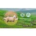 Wool Drying Ball 3 inches XL 100% New Zealand Wool Organic Reusable Natural Fabric Softener Low Allergy Infant Safety - Buy Online on SooperMarket.com