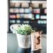 Elemental Superfood Dark Chocolate + Peanut Butter Seedbars - 12 Pack | Non-GMO, Organic, Gluten-Free, Dairy-Free, Plant-Based - Buy Online on SooperMarket.com