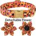 Buy Aring Pet Halloween Dog Halison - Sweet Orange Flower Design Adjustable Cotton Collars for All Dog Sizes (X-Large) - Buy Online on SooperMarket.com