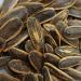 Buy Fibay Dakota Sunflower Seeds - Roasted & Taco Seasoned | Premium Quality 6x140g - International Shipping Available - Buy Online on SooperMarket.com