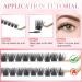 Glowing Win Single Eyelashes Extensions - 144 PCS DIY Cluster Lashes 8-16mm | Natural Wispy Individual False Eyelashes - Buy Online on SooperMarket.com