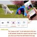 Wireless Rechargeable WiFi Pet Collar Camera Recorder Tracker - 720P HD with Night Vision - Bigger Size - Behavior Observation - Buy Online on SooperMarket.com