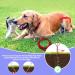 JETOP Heavy Duty Dog Stake & 10 ft Dog Chains Steel Spiral Ground Dog Spike for Outdoor Yard and Camping Dog Camping Accessories for Puppy Pet and Medium Dogs (176 lbs of pull) (Red) - Buy Online on SooperMarket.com