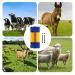 Generic Scratch Brush for Farm Animals - Itching Relief & Massage Tool for Cows Horses Sheep & Pigs - Durable Cleaning Brush - Buy Online on SooperMarket.com