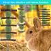 Erkoon Natural Timothy Hay Rabbit & Small Animal Chew Cubes | Dental Care Treats for Hamsters Chinchillas Guinea Pigs & More - Buy Online on SooperMarket.com