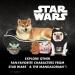 Star Wars Ceramic Dog Treat Jar with Lid - Pet Treat Container and Food Storage - Dog Canister for Treats - 7.3 x 5.1 inches - Buy Online on SooperMarket.com