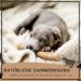 Supravit Natural Coffee Wood Chewing Bones for XS Puppies | Long-Lasting Play & Excitement | Caustab Puppy Chew Toys - Buy Online on SooperMarket.com