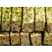 Zaiqa Raw Unsalted Pistachio Kernels 12oz - California Grown, Tasty & Fresh Pasteurized Snack for Ice Cream, Baklava & Turkish Delight - Buy Online on SooperMarket.com