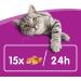 Buy Whiskas Cat Snacks Crunchy Pockets with Chicken & Cheese - 6 Pack (432g) - International Shipping Available - Buy Online on SooperMarket.com