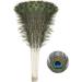 Soarer Long Peacock Feathers Bulk - 25pcs 32-35 inches for Vase, Holiday Decoration & DIY Crafts - Buy Online on SooperMarket.com