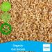 Certified Organic 1kg Oat Groats by Fenbrook Organic - Shop Now - Buy Online on SooperMarket.com