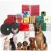 Wowlela Dog Doorbell | Wireless Pet Training Bells | Communication Doorbell with Push Button for Easy Pet Alerts - Buy Online on SooperMarket.com