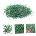FRCOLOR 1 Glass Chip Manicure Fillers Nail Rhinestones Nail Art Gems Metallic Chips for Nail Arts Bulk Bud Vases Glitter for Resin Irregular Glass Epoxy Fillers Diy Accessories Filling 0.5X0.3cm Green - Buy Online on SooperMarket.com