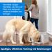 PetSafe Teach & Treat Remote Dog Trainer | Positive Reinforcement & Rewards | International Shipping Available - Buy Online on SooperMarket.com