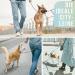 High-Quality 1.7m No Tangle Dog Training Leash - Aqua Braided Rope with Hand Loop - Buy Online on SooperMarket.com