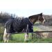 AUTUMNN EQUESTRIAN 50G FILL HORSE TURNOUT RUG LIGHTWEIGHT STANDARD NECK HORSE RUG WATERPROOF 600D HORSE RUG (5'9'') - Buy Online on SooperMarket.com